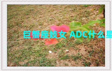 巨蟹座妓女 ADC什么星座